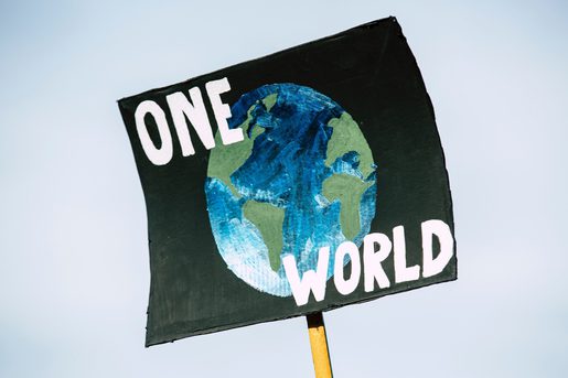 COP27 Planet