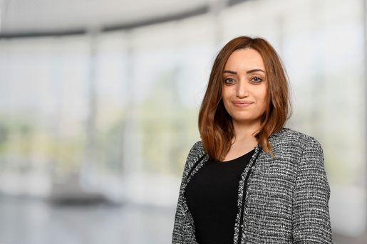 Professional PIC