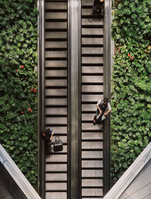 Milly vueti 0n2m2 Uw1 A6 Q unsplash